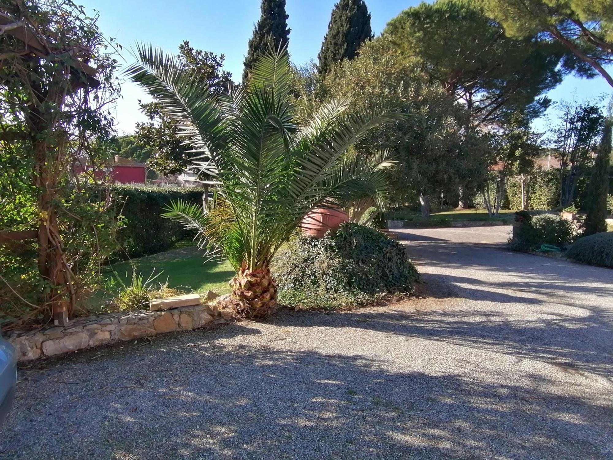 Affitti Brevi Toscana - Villa Simple Fonteblanda Eksteriør billede